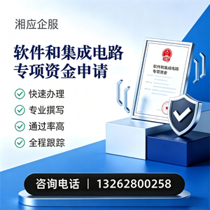凉山软件和集成电路专项资金申报服务