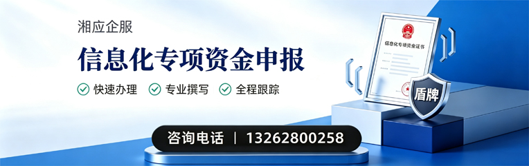 凉山信息化专项资金申报服务