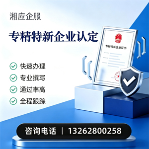 凉山专精特新企业申报服务