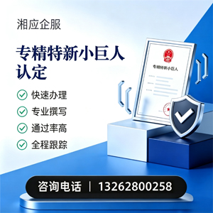 凉山专精特新小巨人申报服务