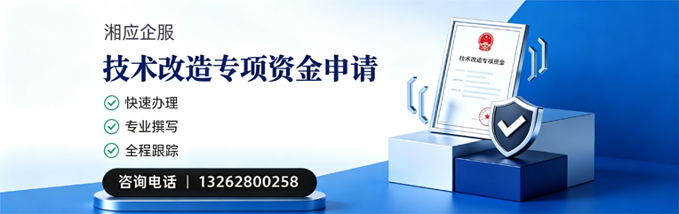凉山技术改造专项资金申报服务