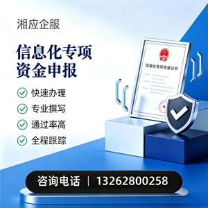 凉山信息化专项资金申报服务