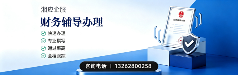 凉山财务辅导申请服务