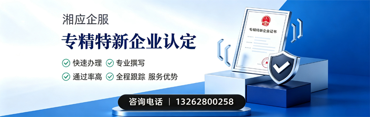 凉山专精特新企业申报服务
