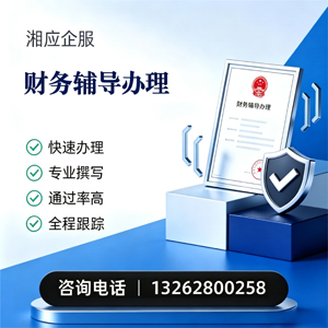 凉山财务辅导申请服务