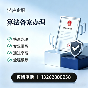 凉山算法备案申报服务