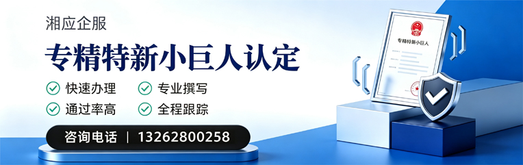 凉山专精特新小巨人申报服务